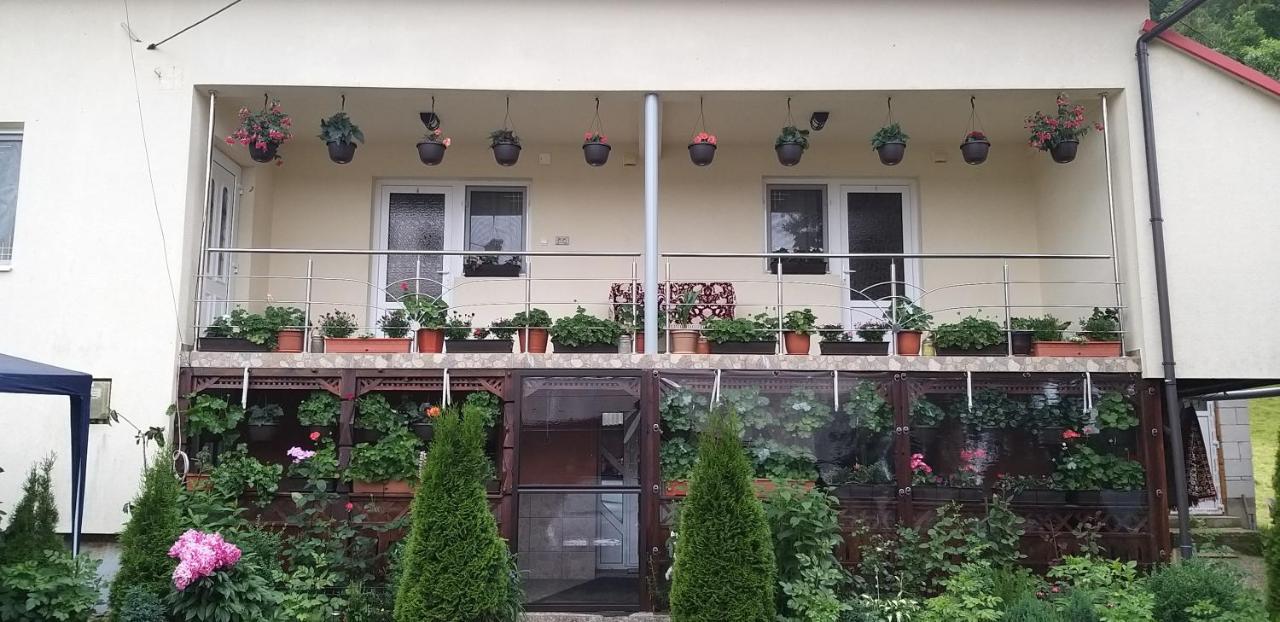 Villa Casa Cosmina Arieşeni Exterior foto