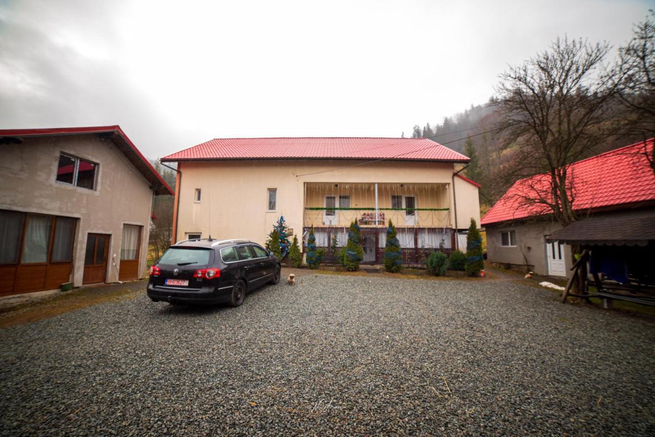 Villa Casa Cosmina Arieşeni Exterior foto