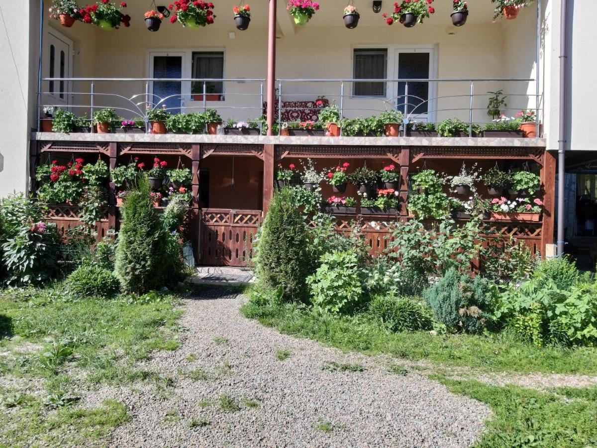 Villa Casa Cosmina Arieşeni Exterior foto